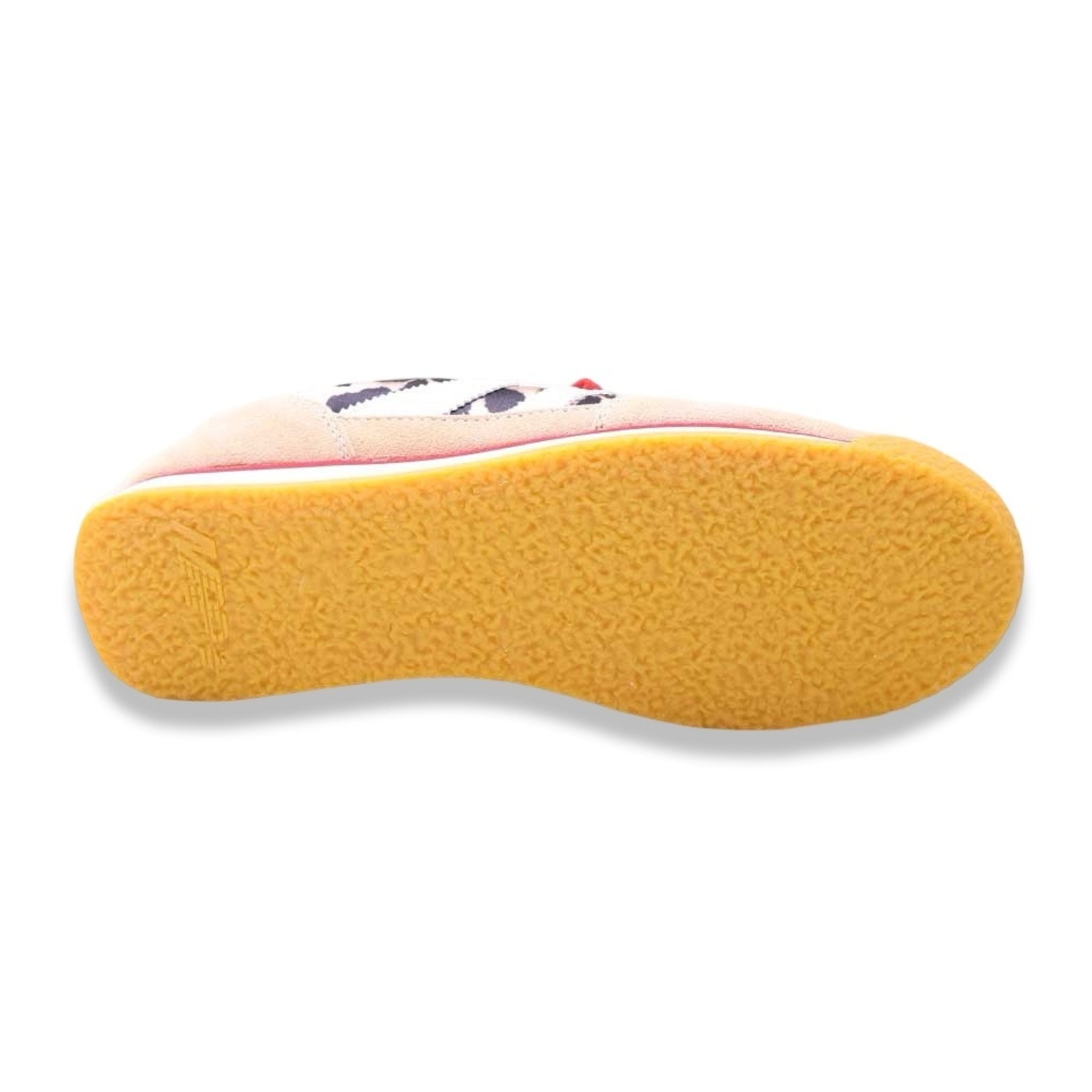 Mrp Purev6 Leopard