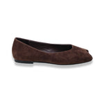 Mormora santoreggia brown