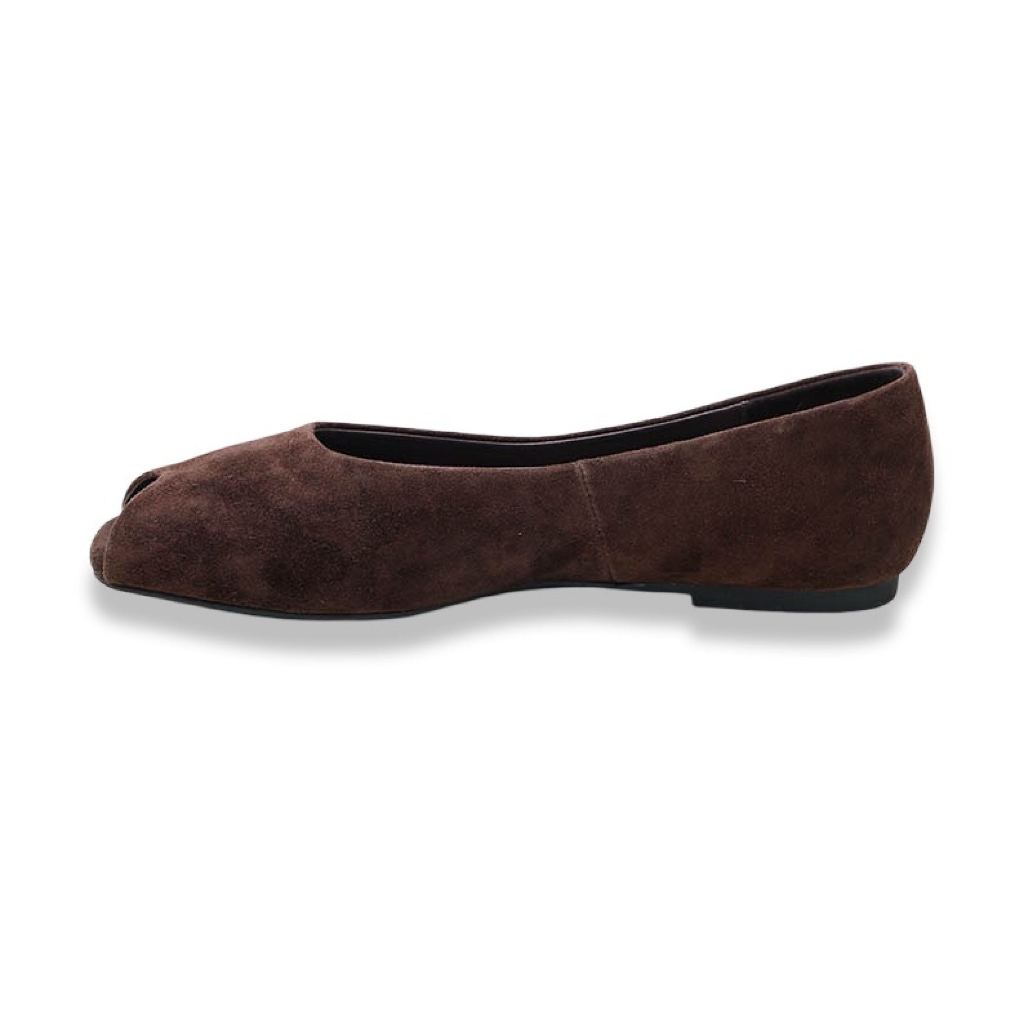 Mormora santoreggia brown