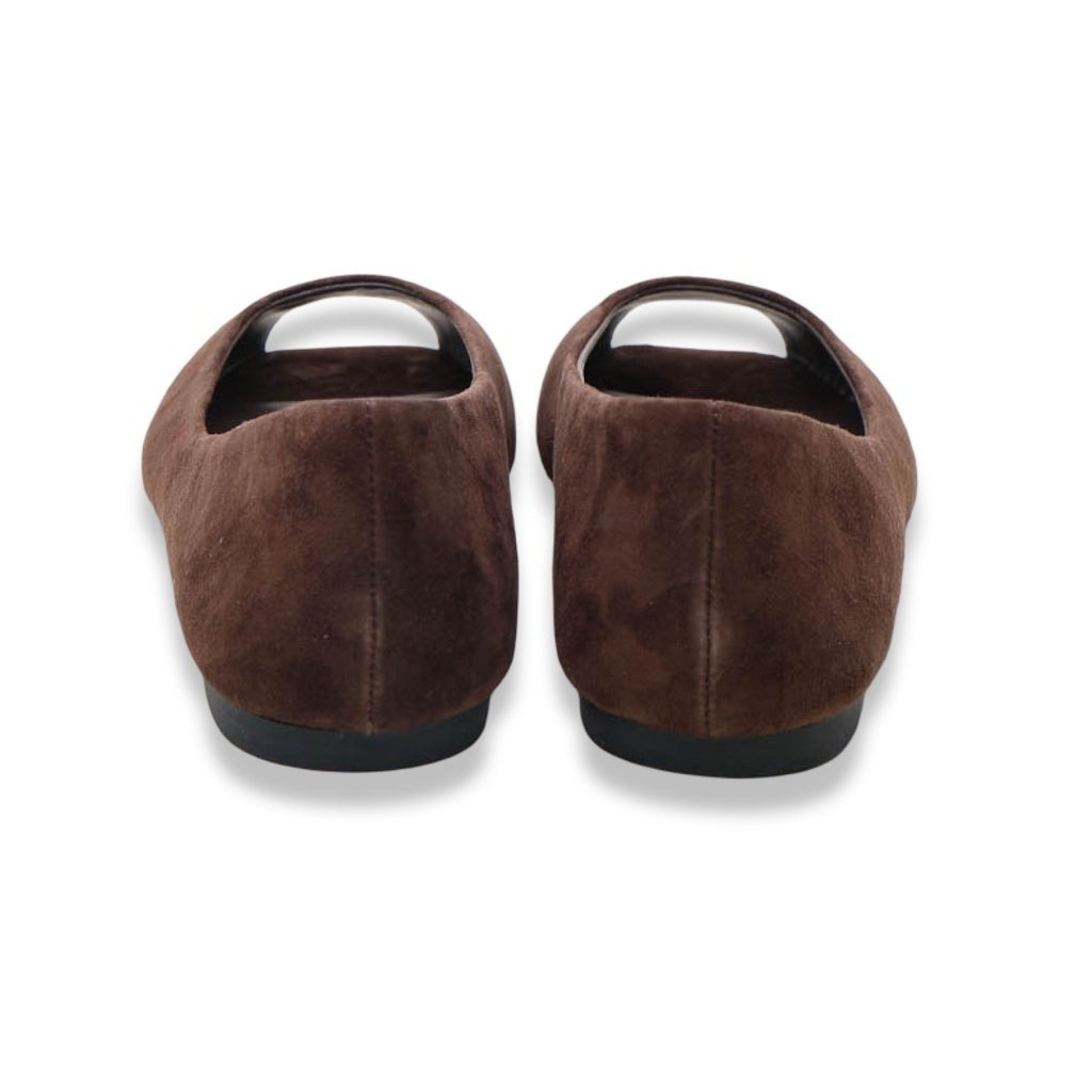 Mormora santoreggia brown