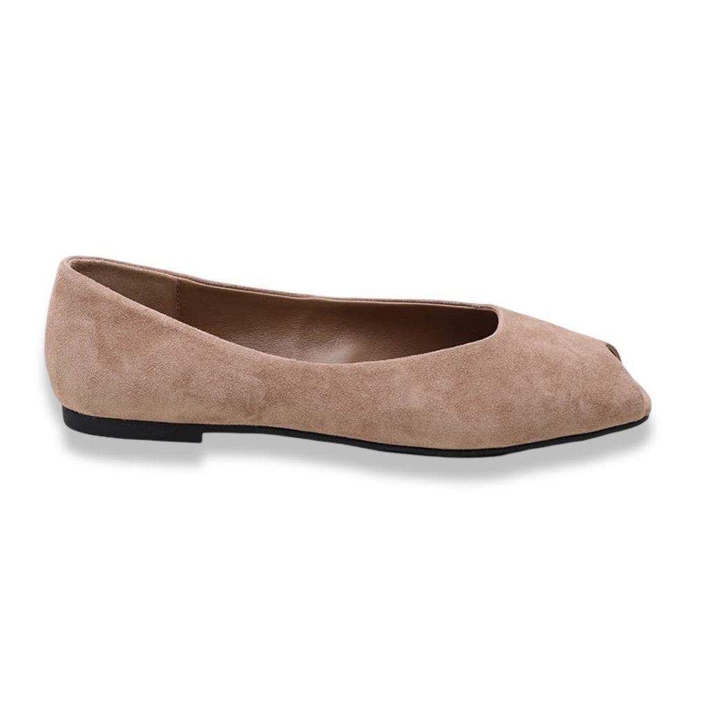 Mormora santoreggia camel
