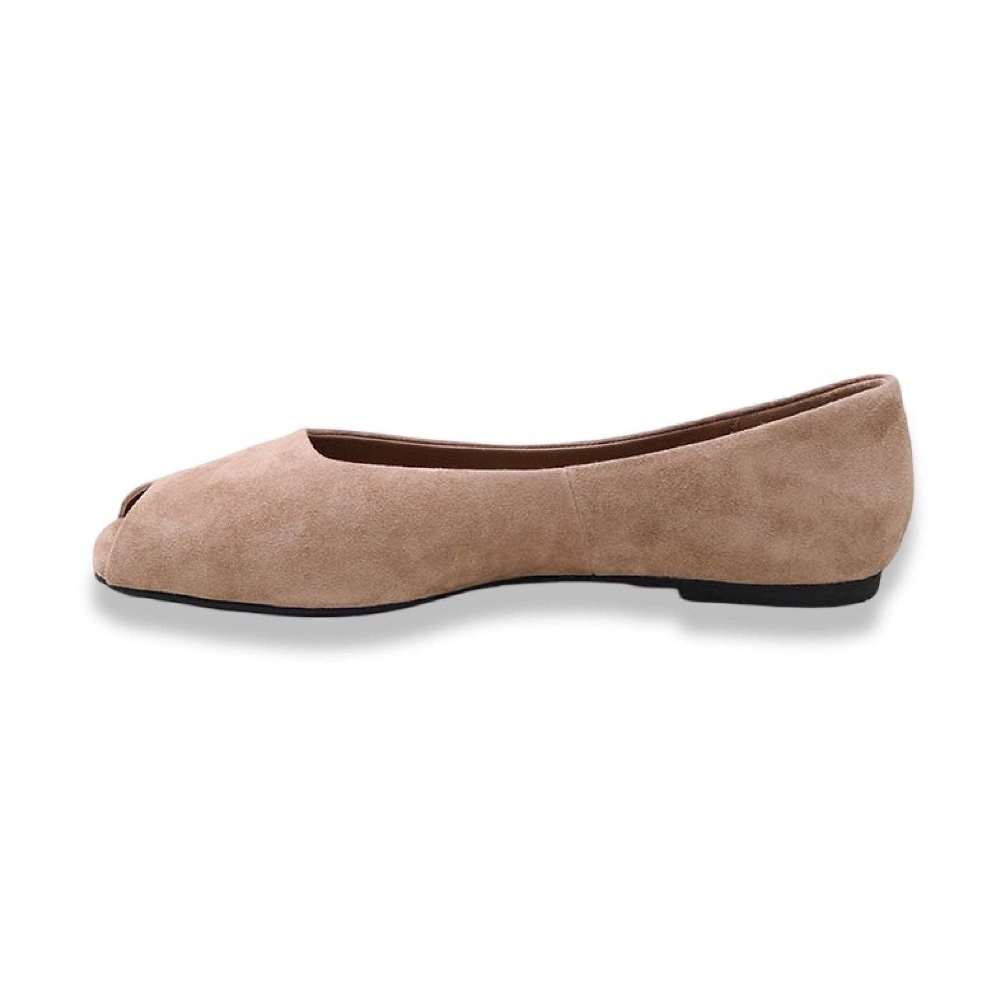 Mormora santoreggia camel