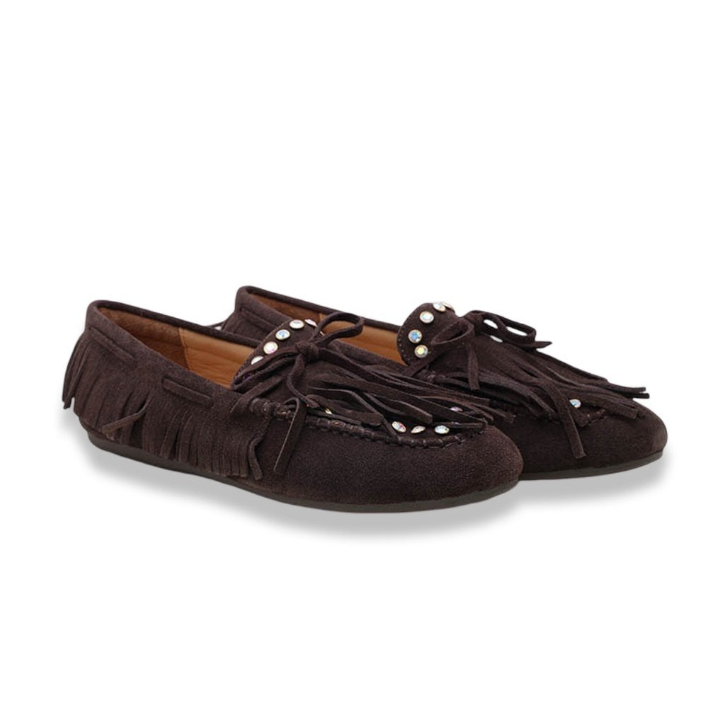 Mormora saxi fraga brown