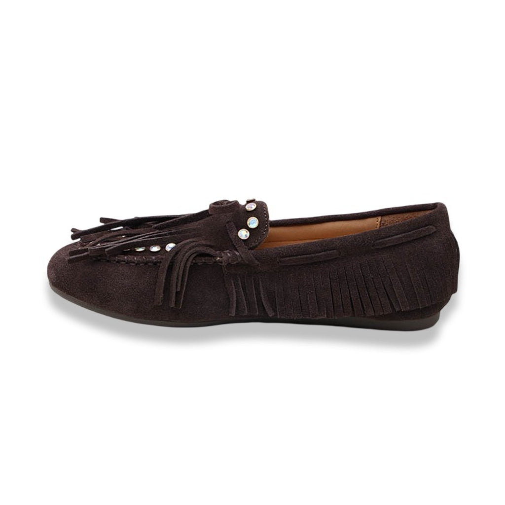Mormora saxi fraga brown