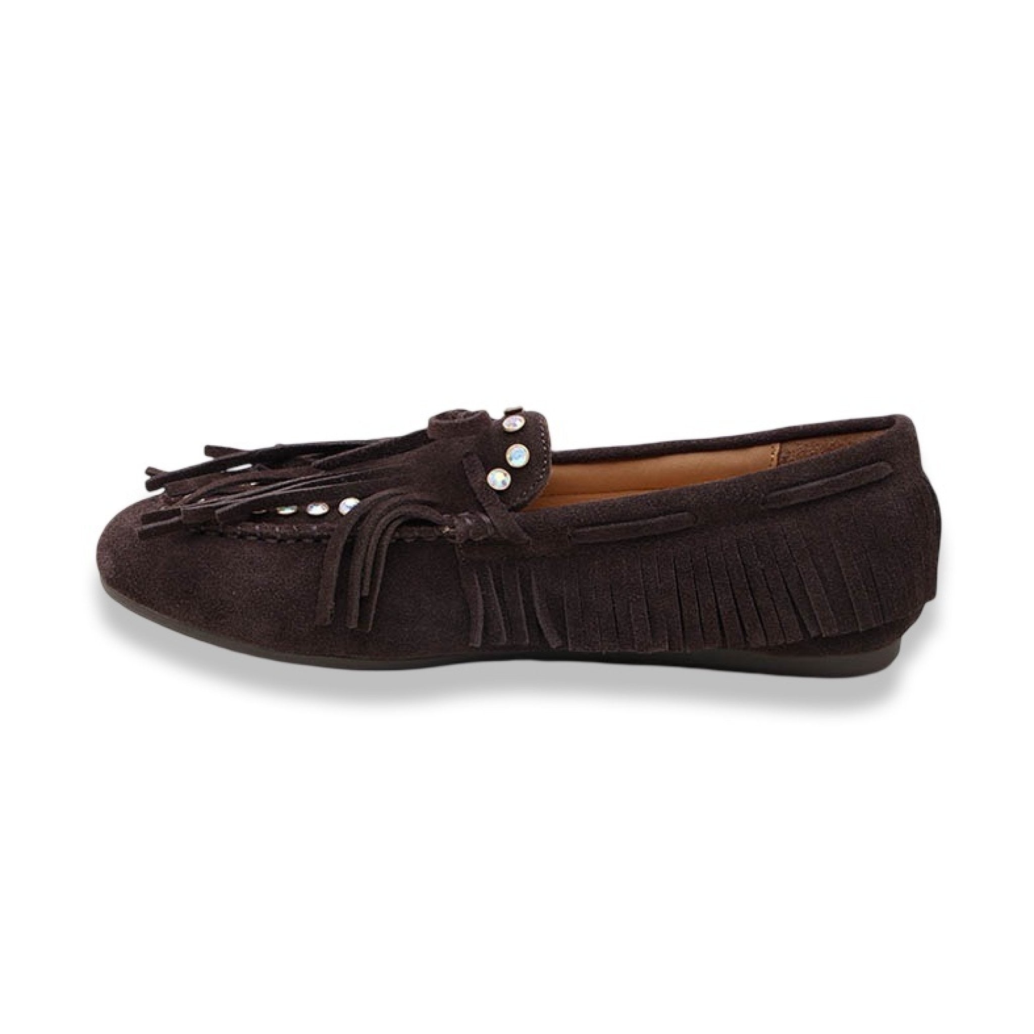 Mormora saxi fraga brown