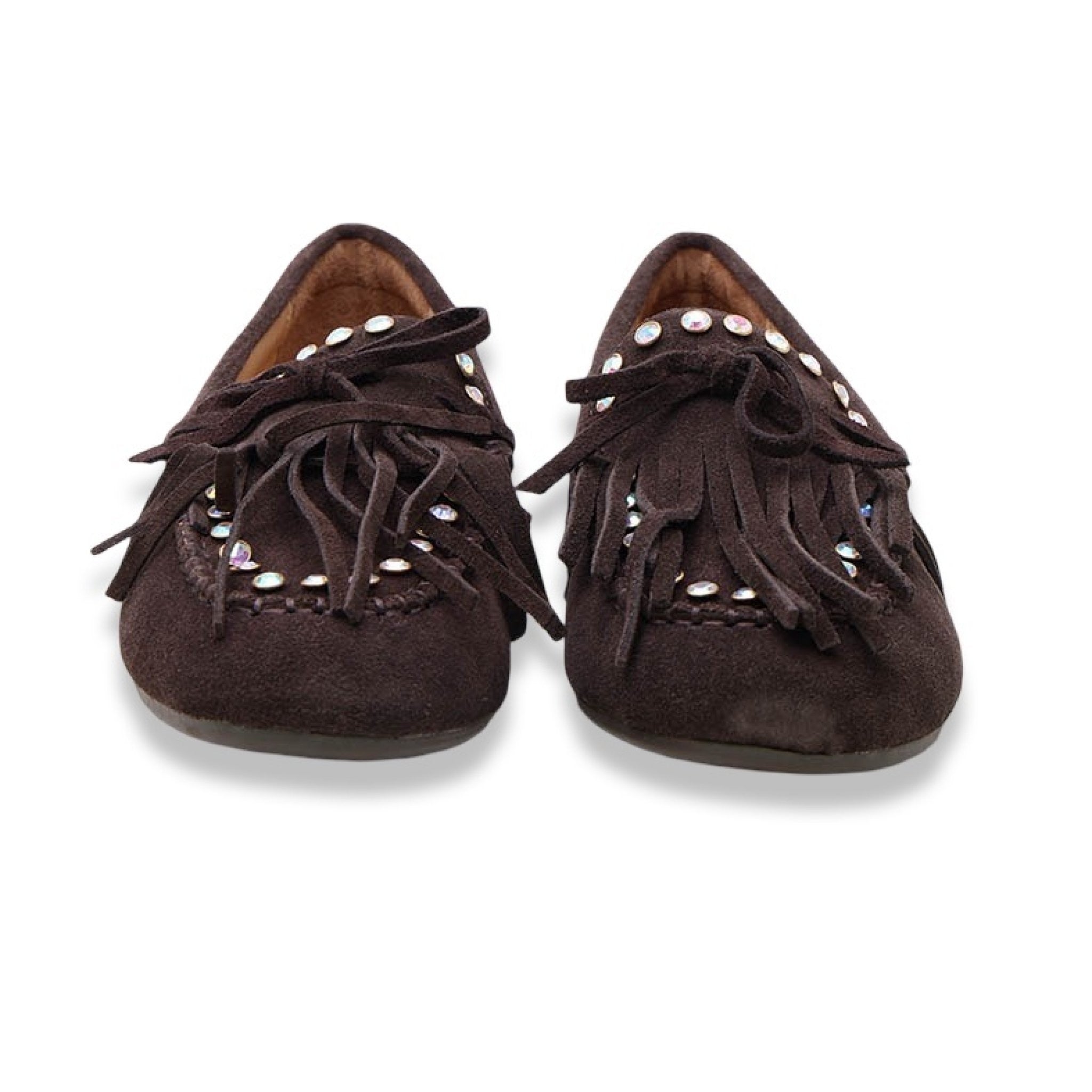Mormora saxi fraga brown