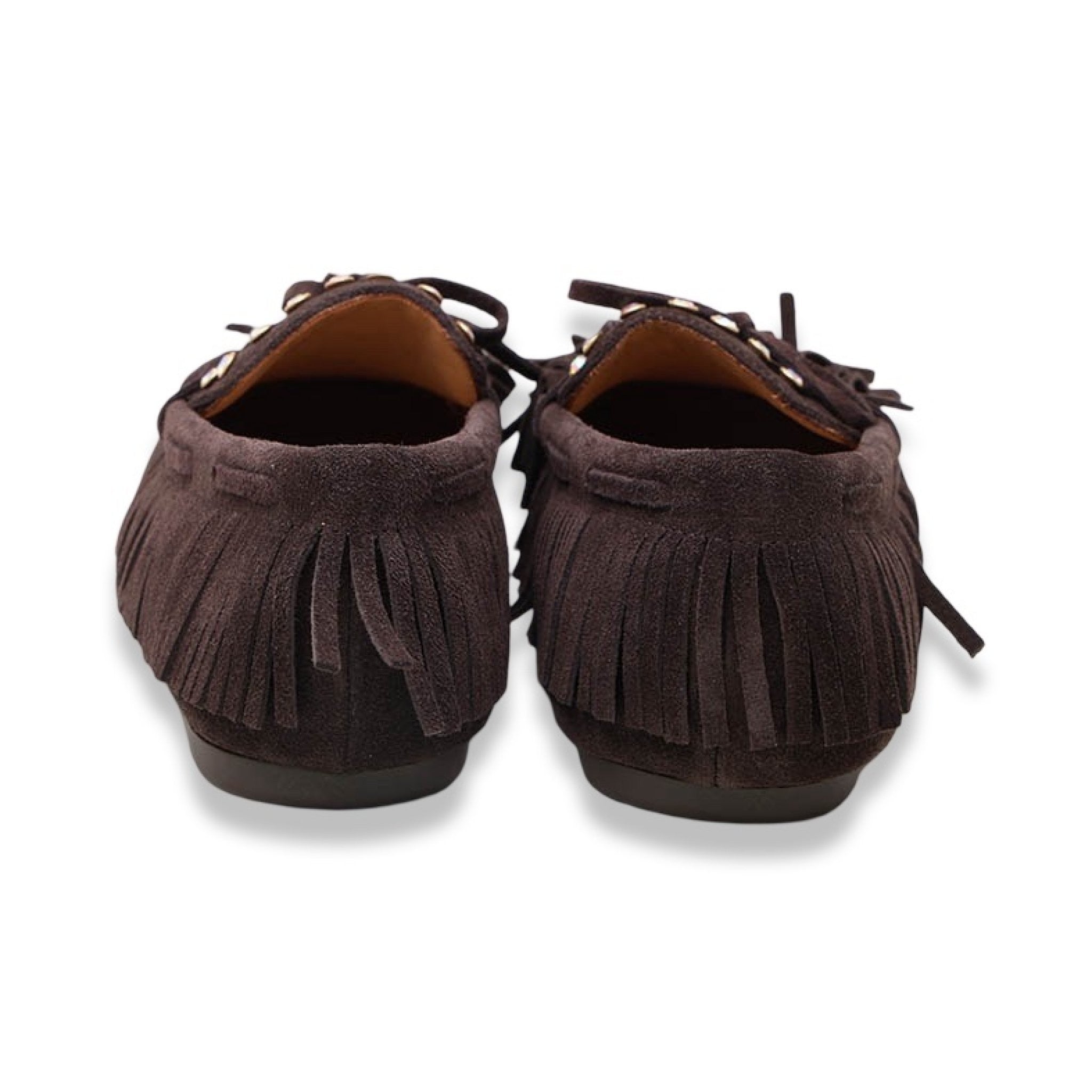 Mormora saxi fraga brown