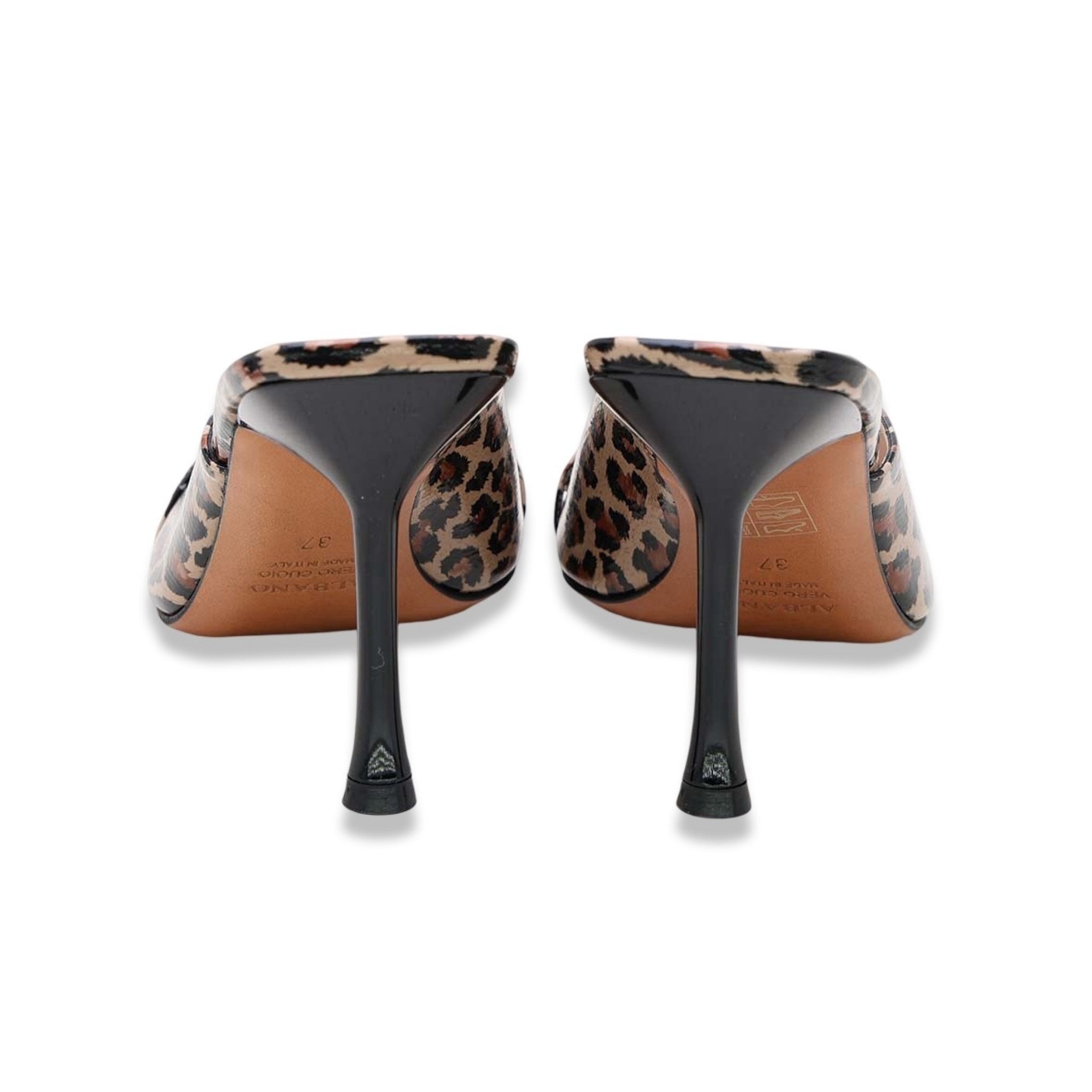 Albano cuprant leopardato