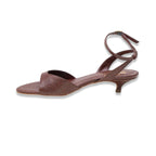 Belotti noto lizard cioccolato