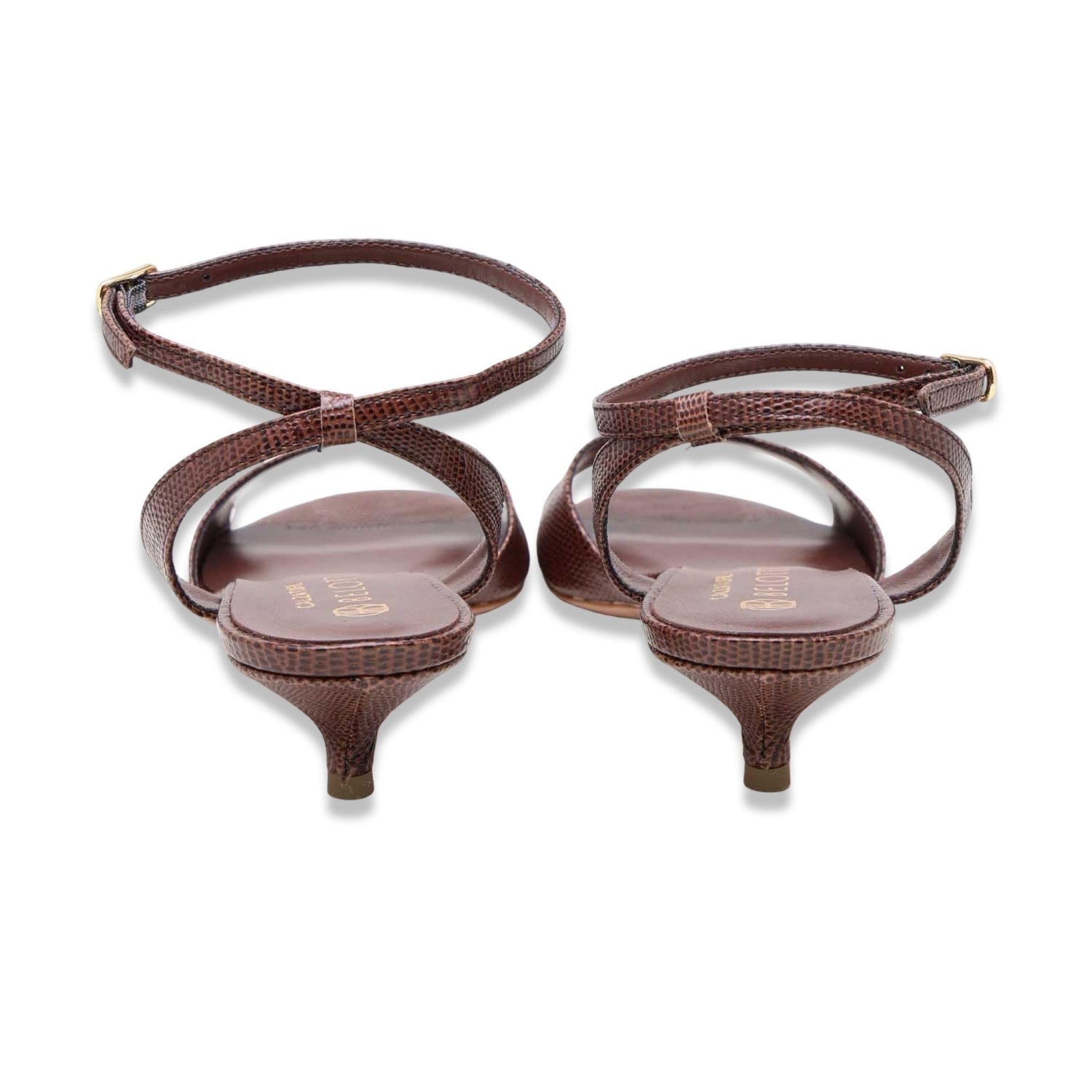 Belotti noto lizard cioccolato