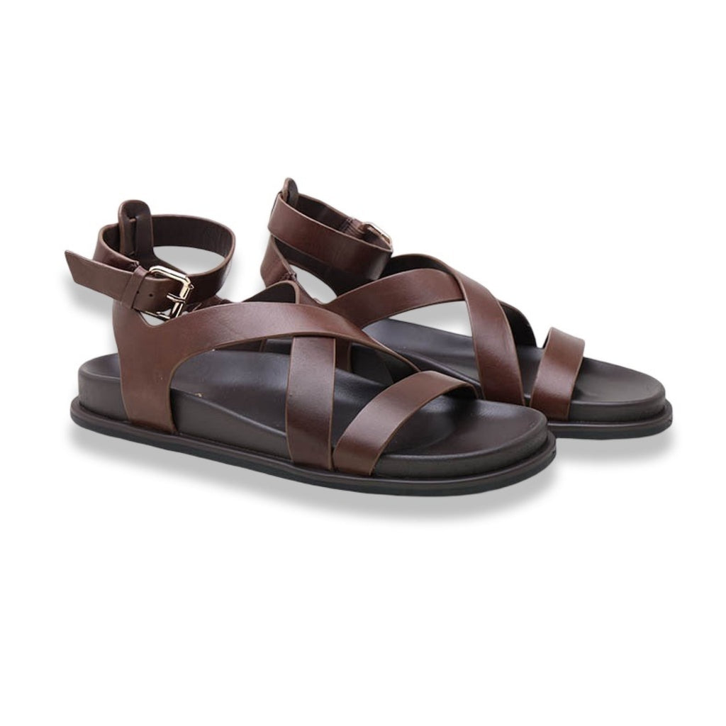 Mormora tritonia brown