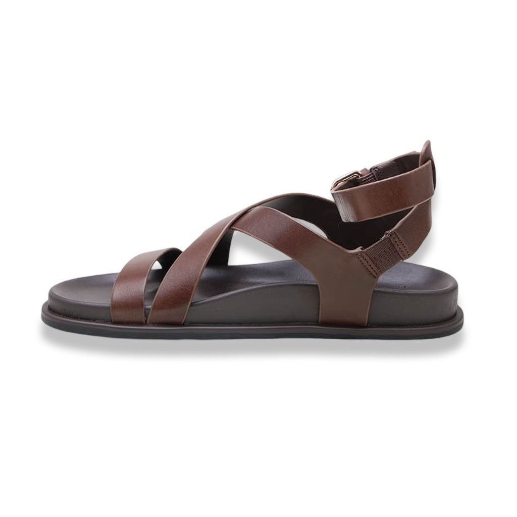 Mormora tritonia brown