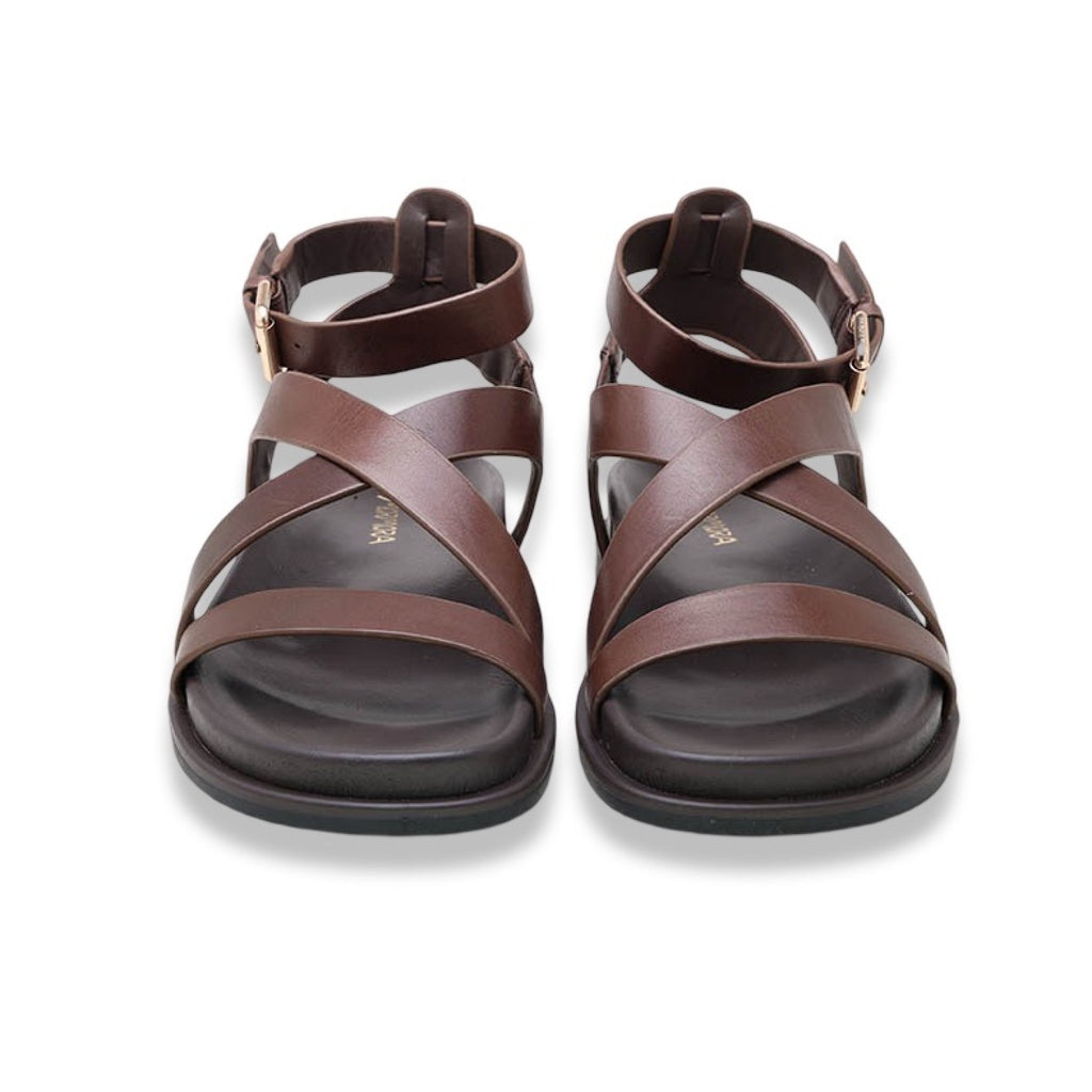 Mormora tritonia brown