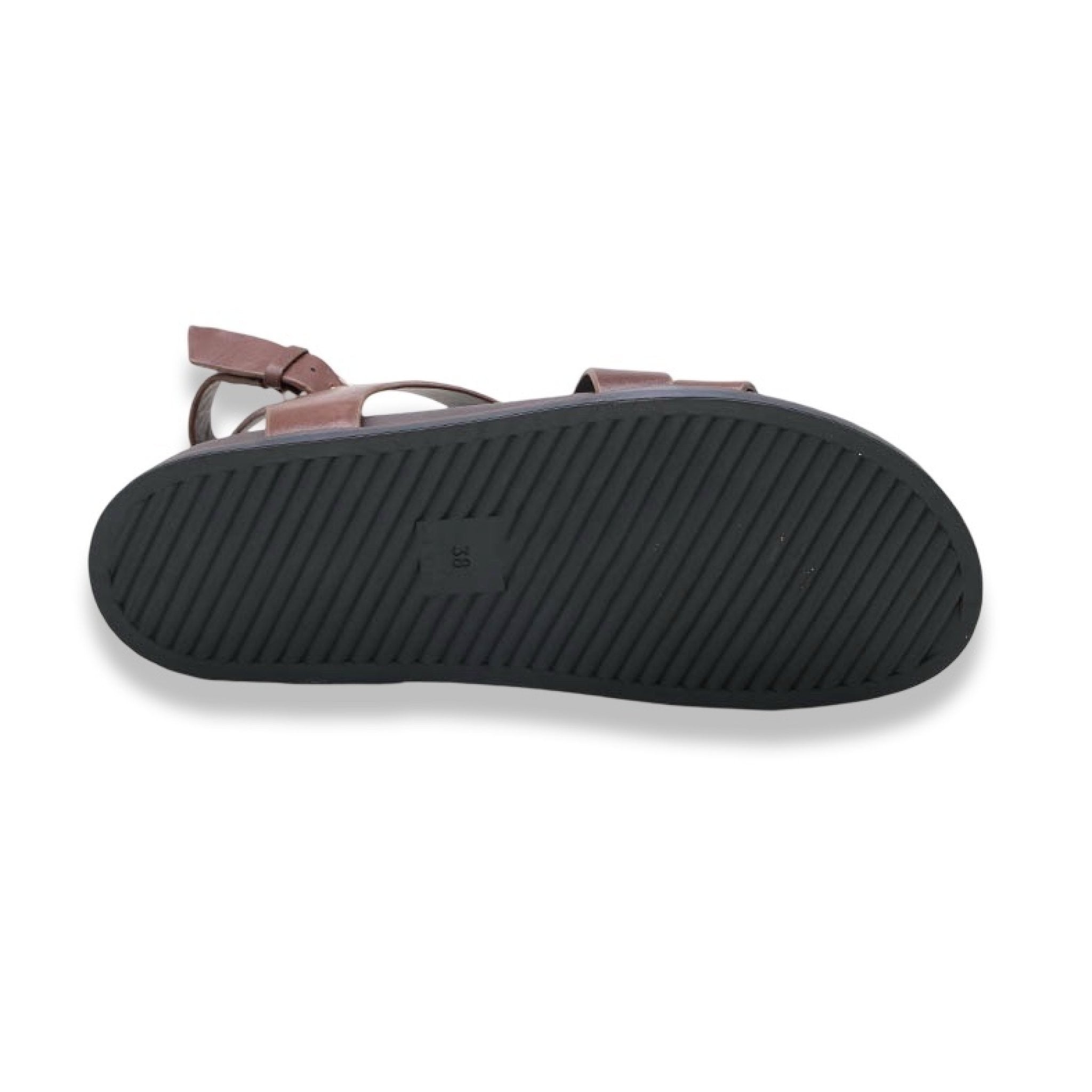 Mormora tritonia brown