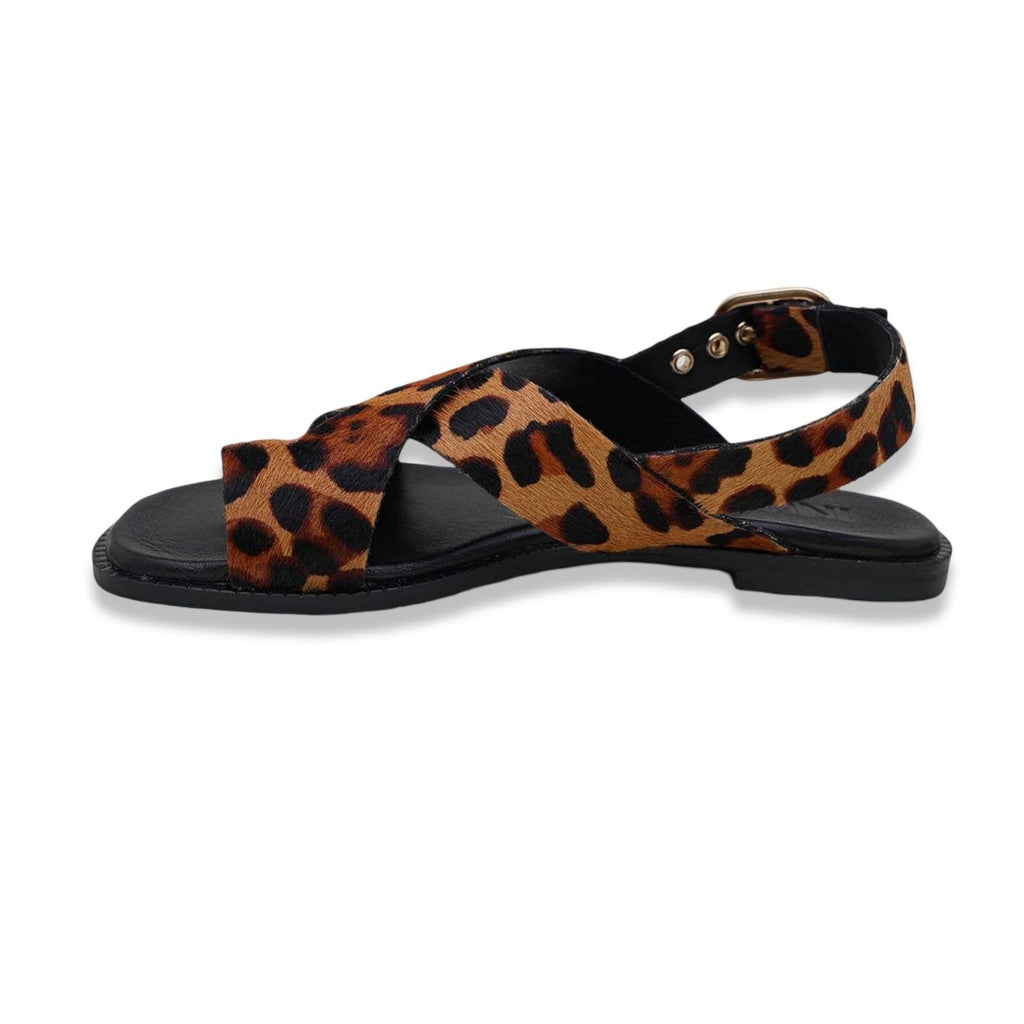 Inuovo carminio leopardato