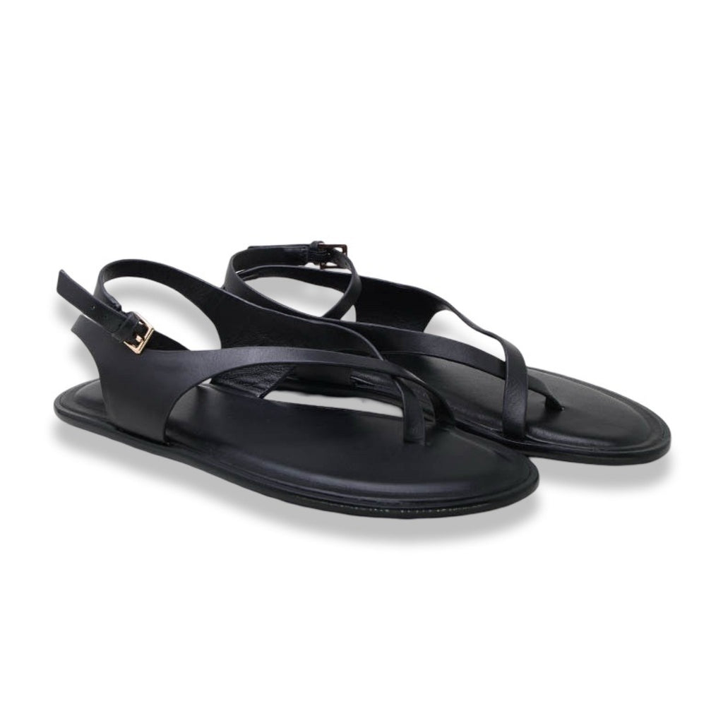 Mormora philesia black
