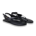 Mormora philesia black