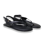 Mormora philesia black