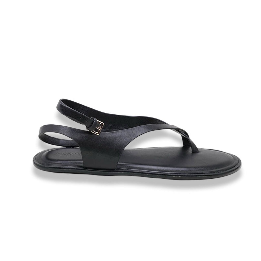 Mormora philesia black