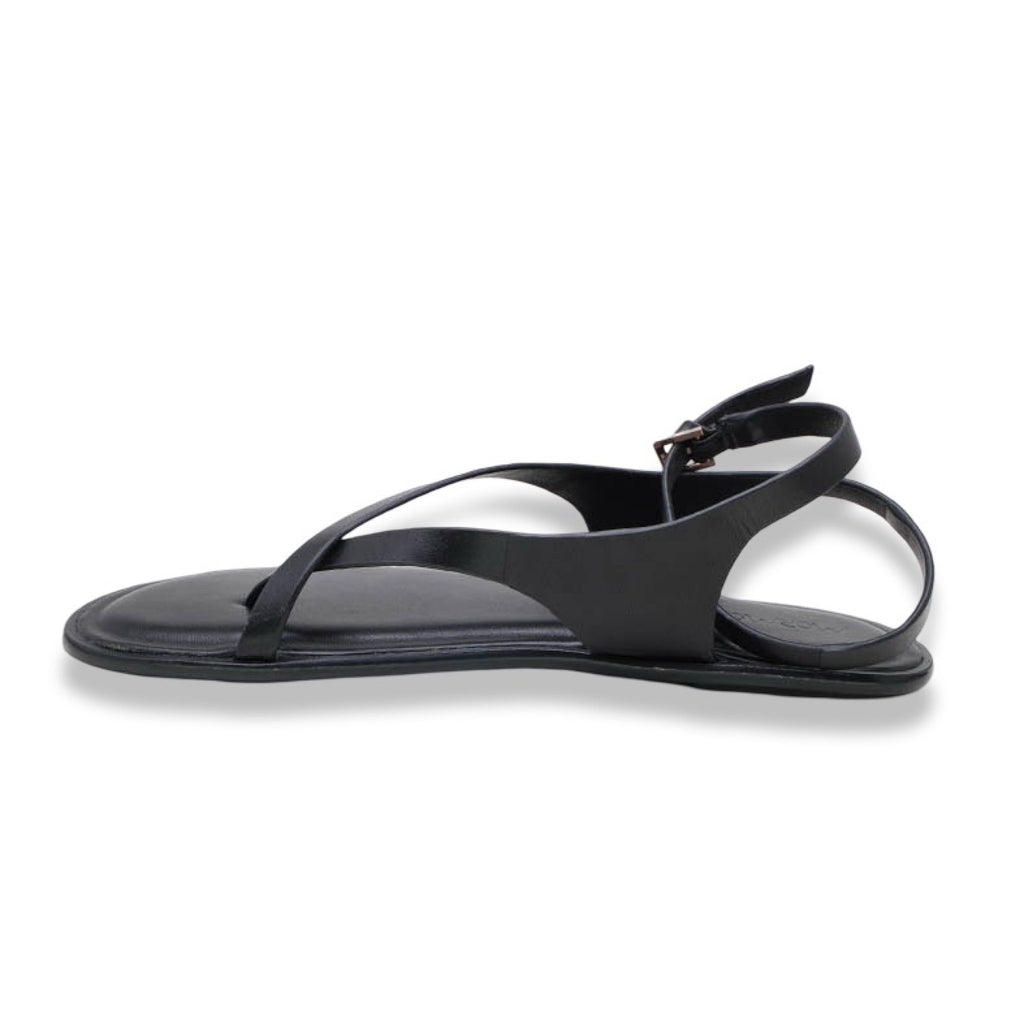 Mormora philesia black