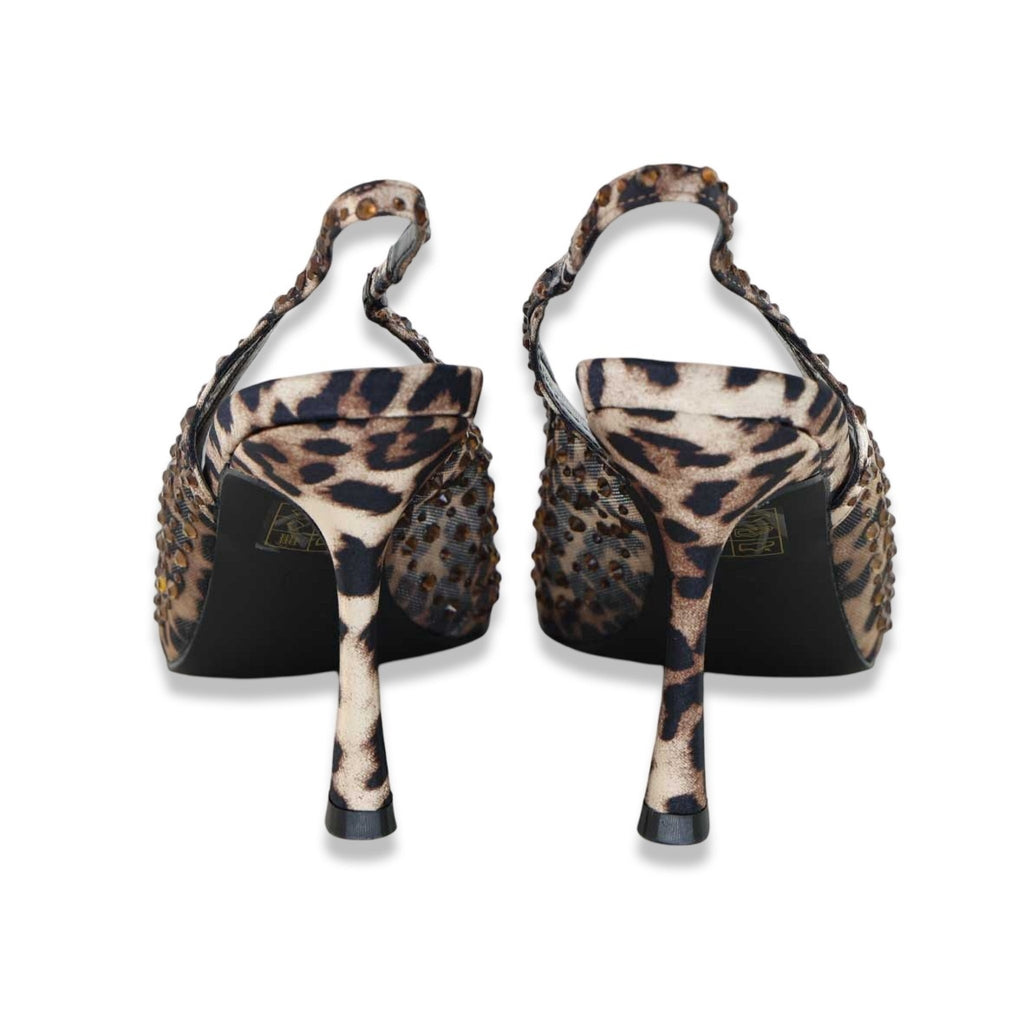 Exe' usignolo leopard
