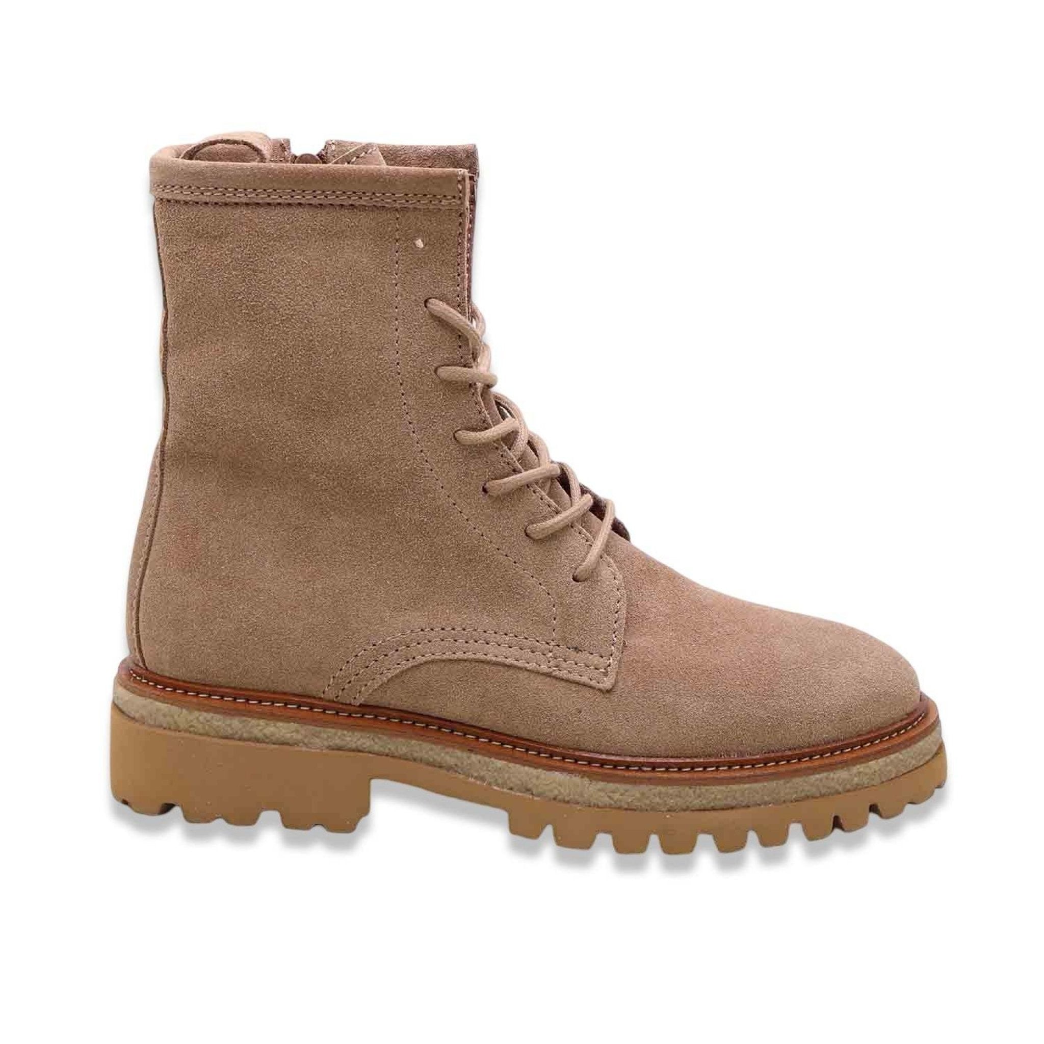 Alpe aster taupe