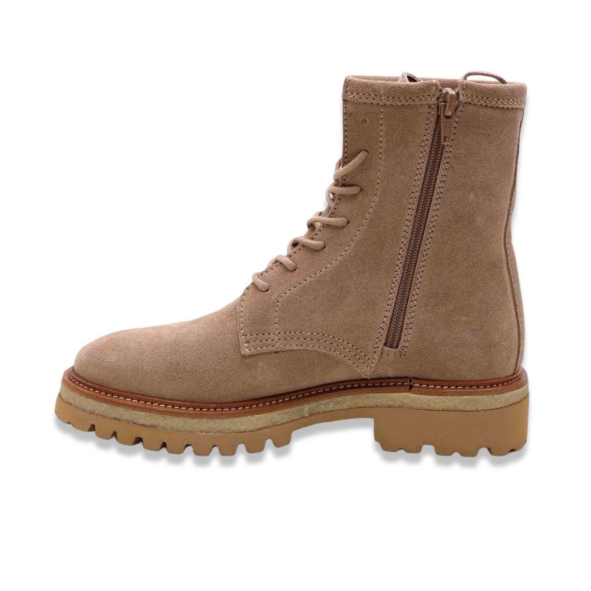 Alpe aster taupe