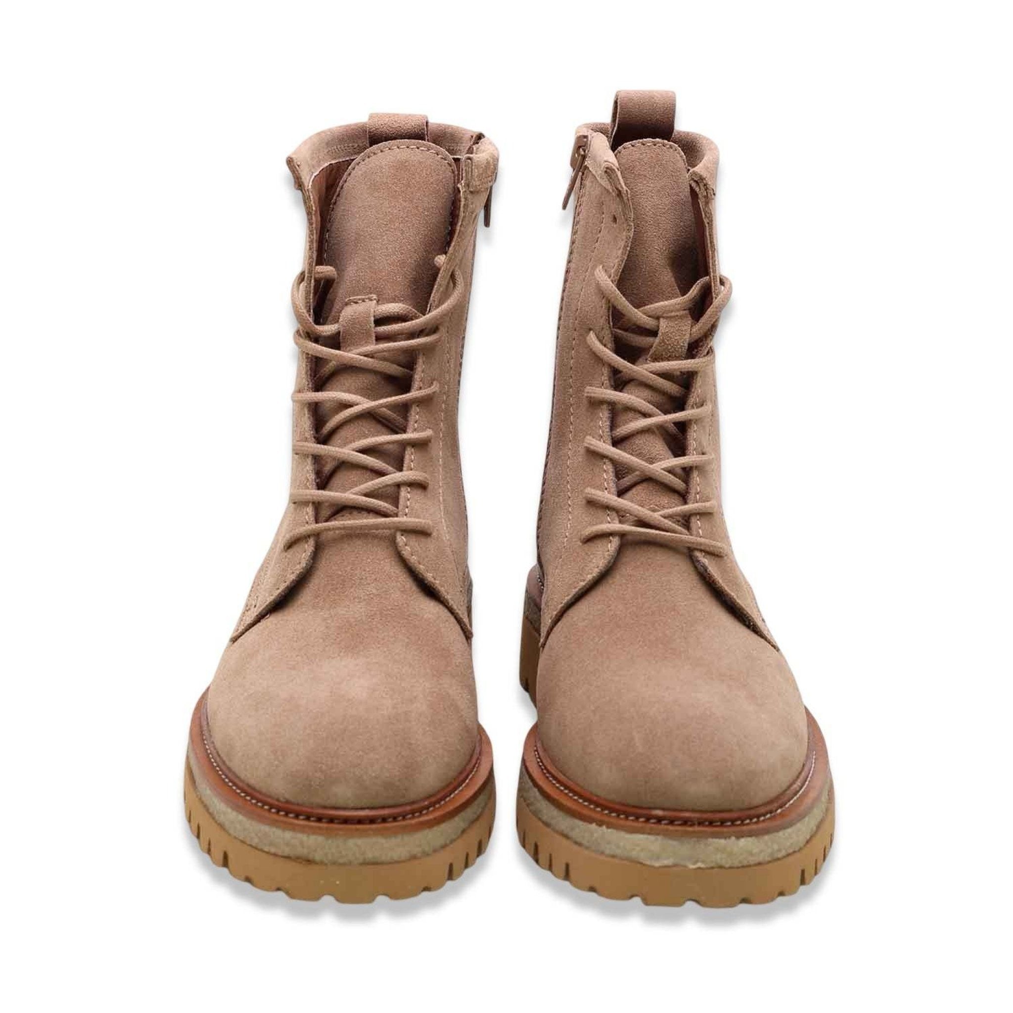 Alpe aster taupe