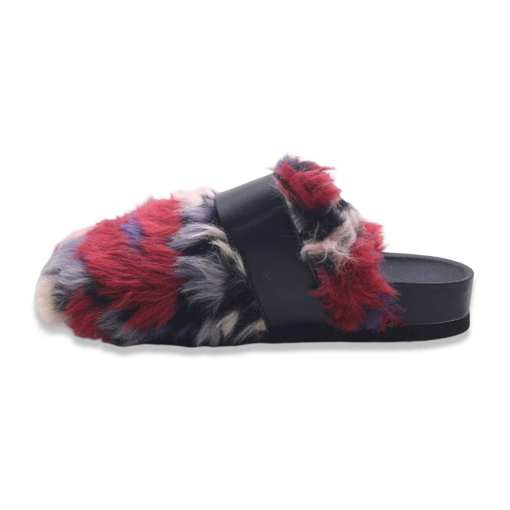Scholl alaska red
