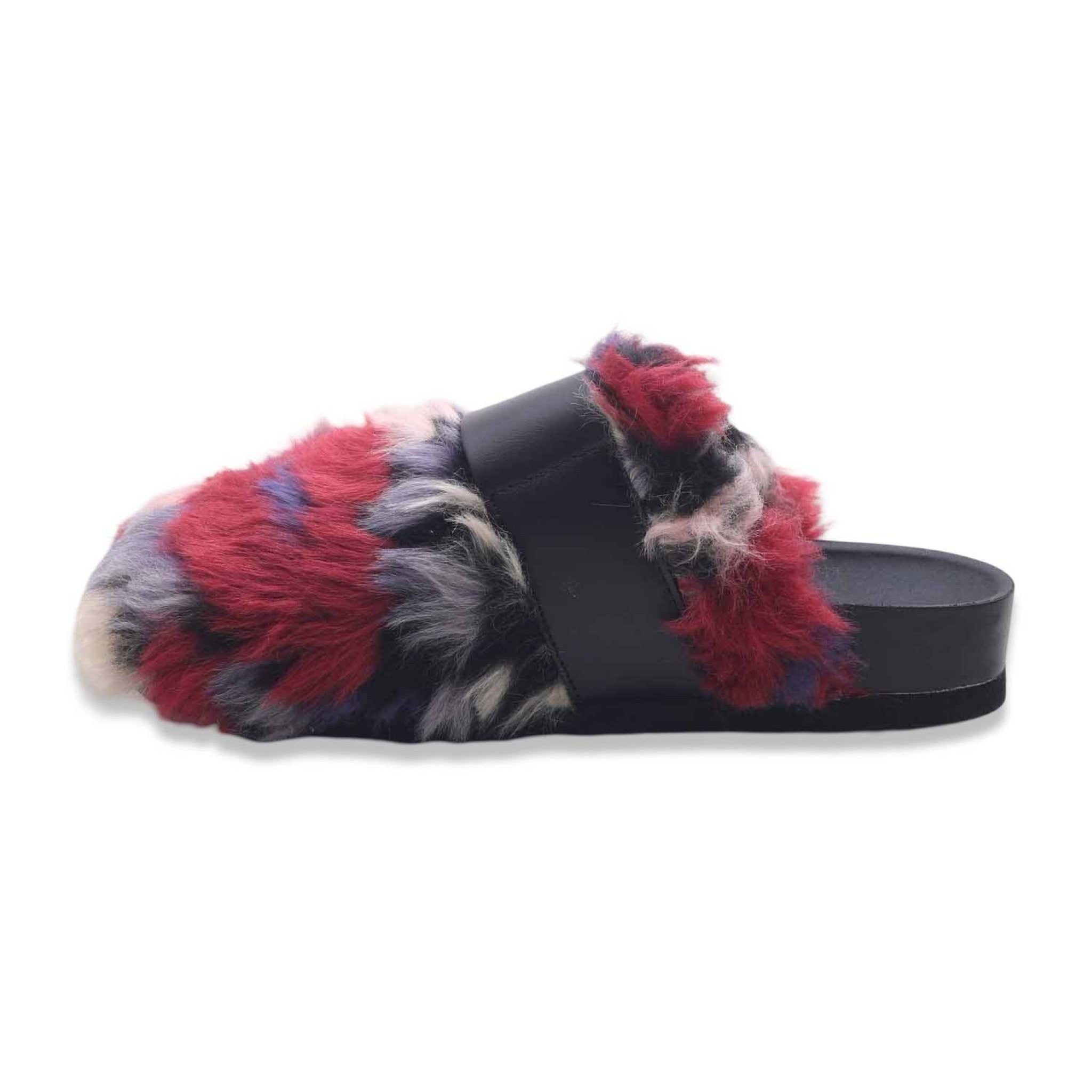 Scholl alaska red