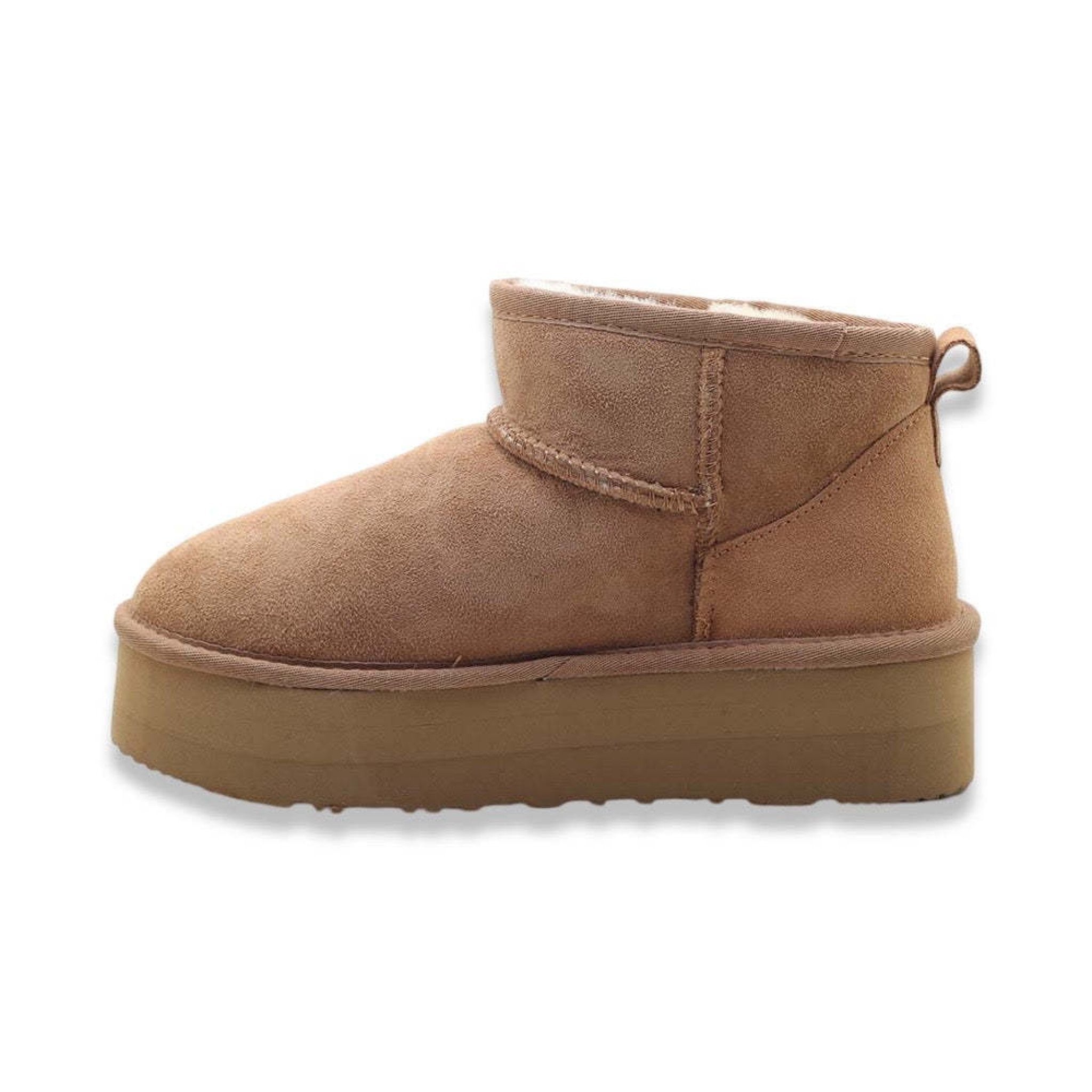 Kammi iris camel