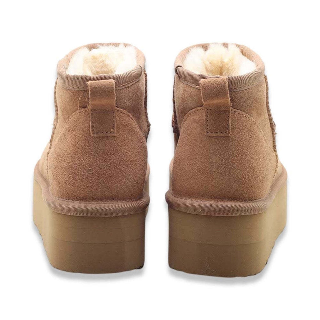 Kammi iris camel