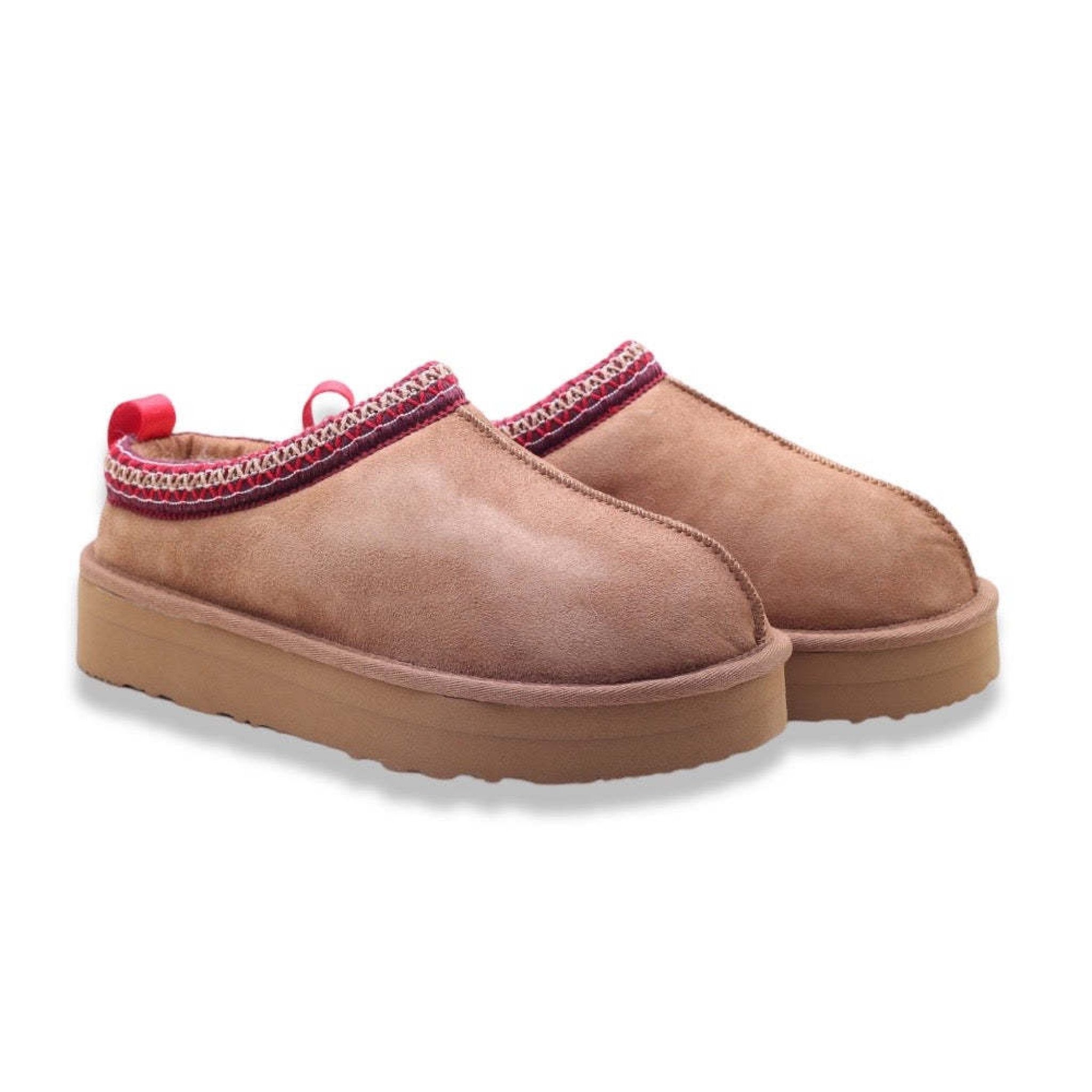 Kammi anemone camel