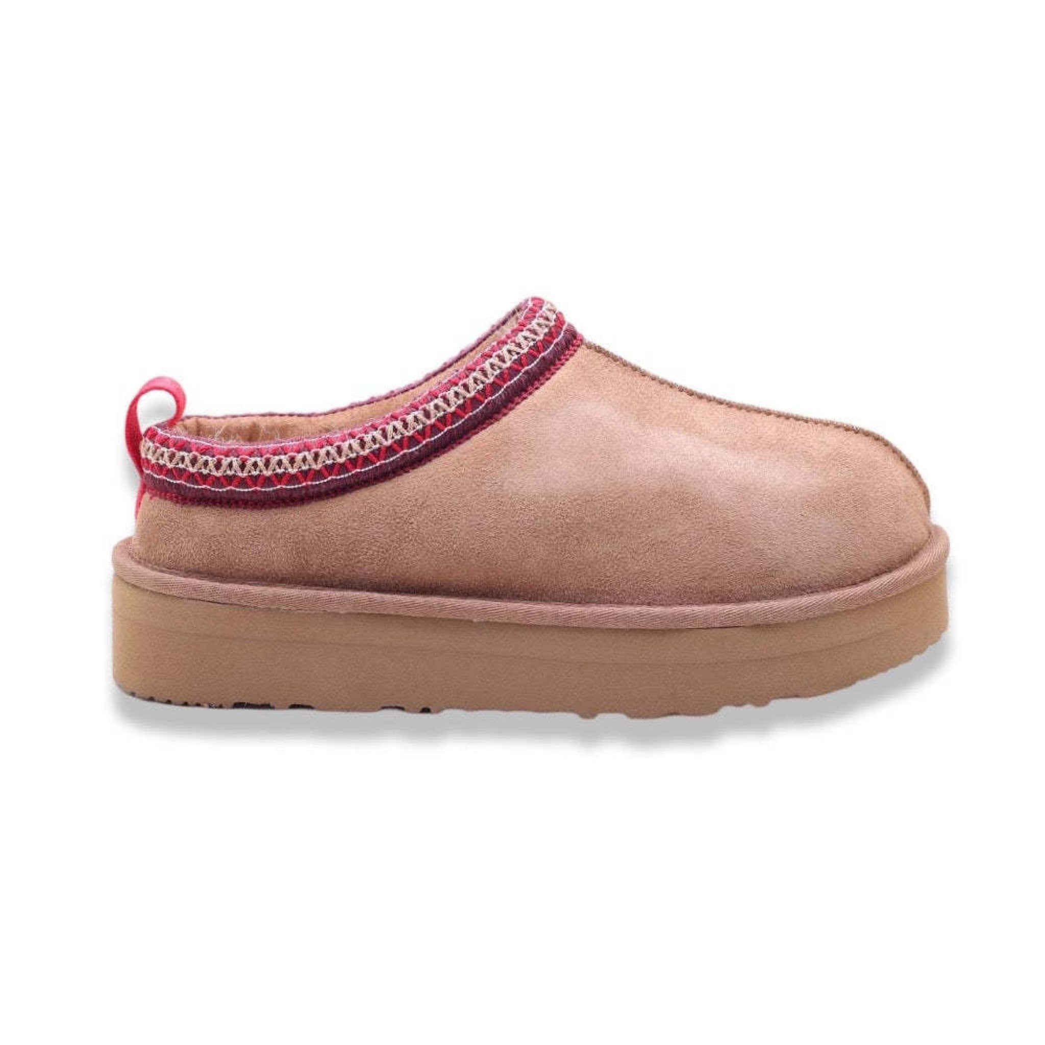 Kammi anemone camel