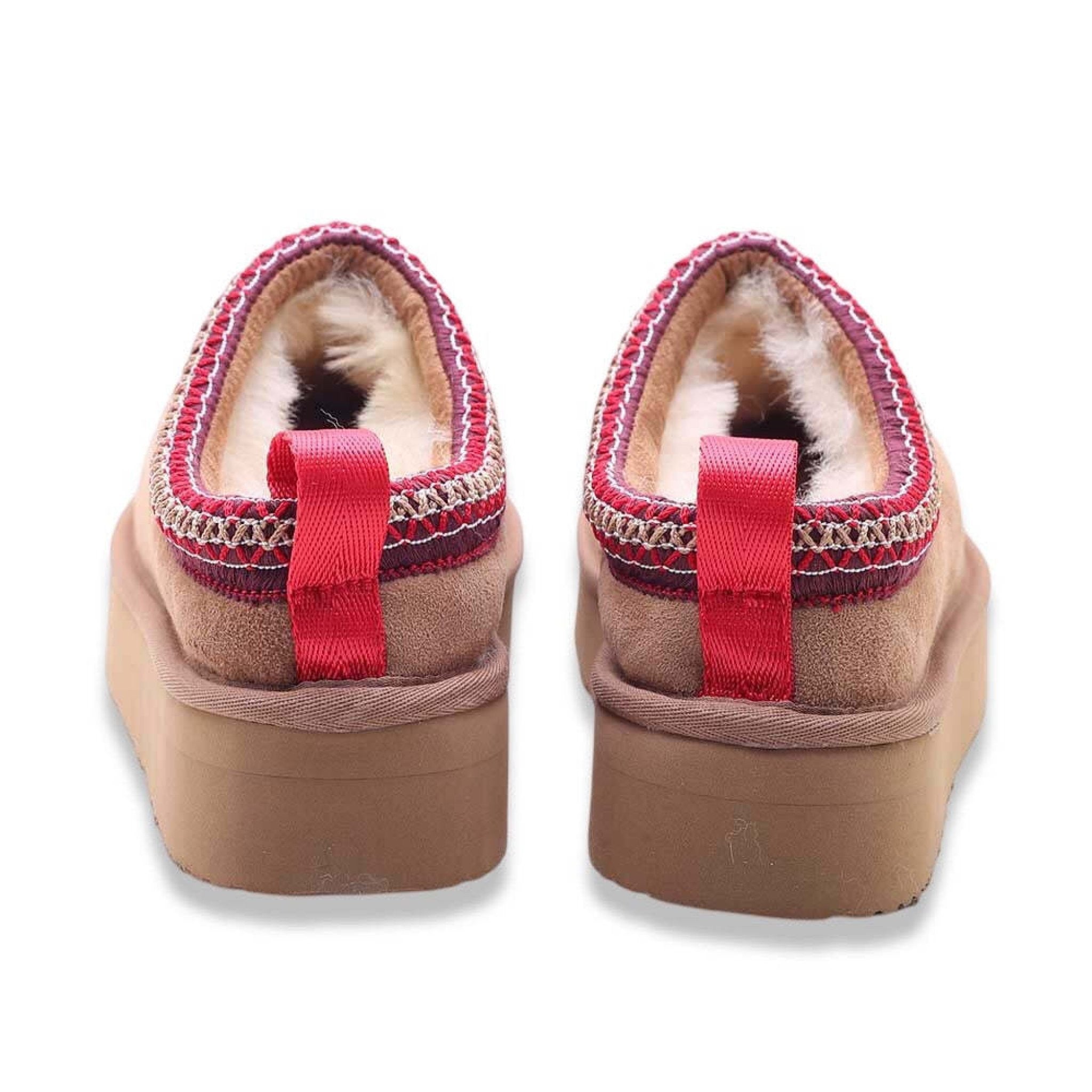 Kammi anemone camel
