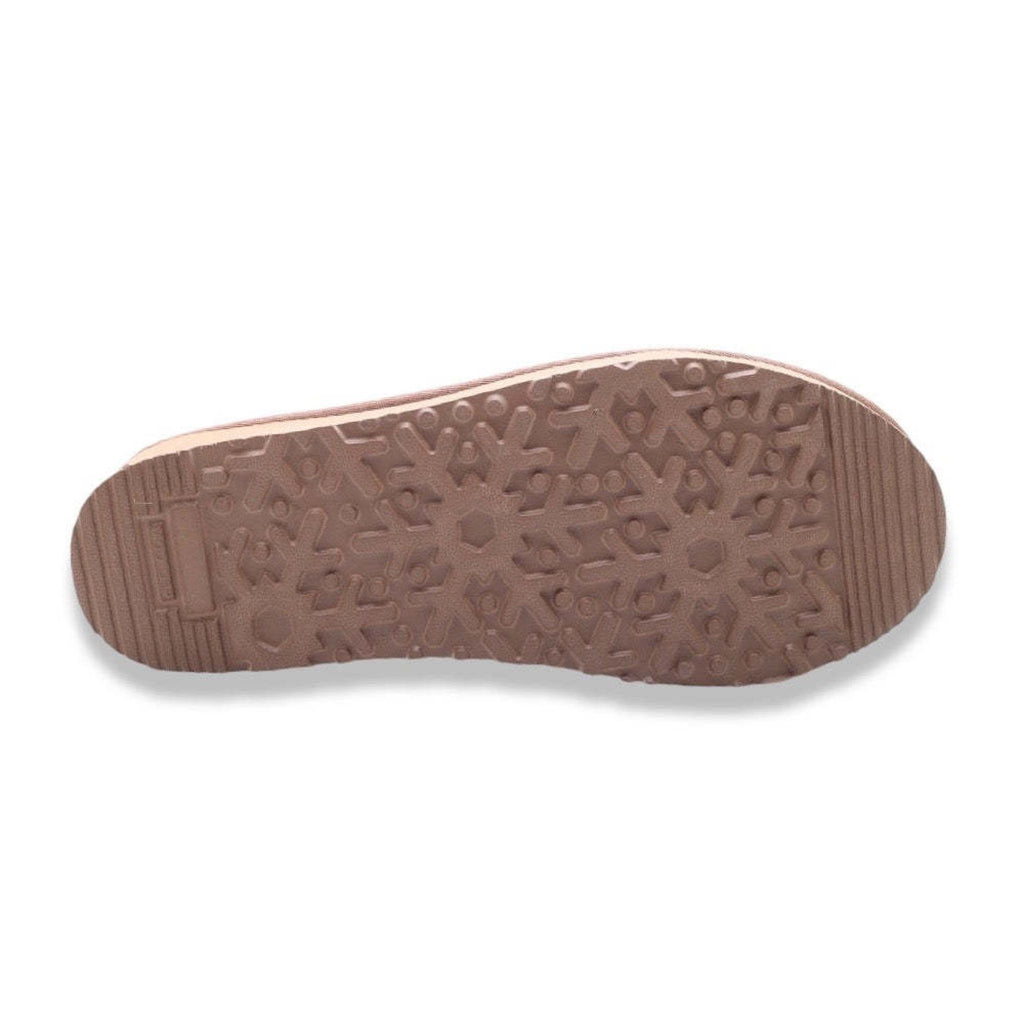 Kammi anemone camel