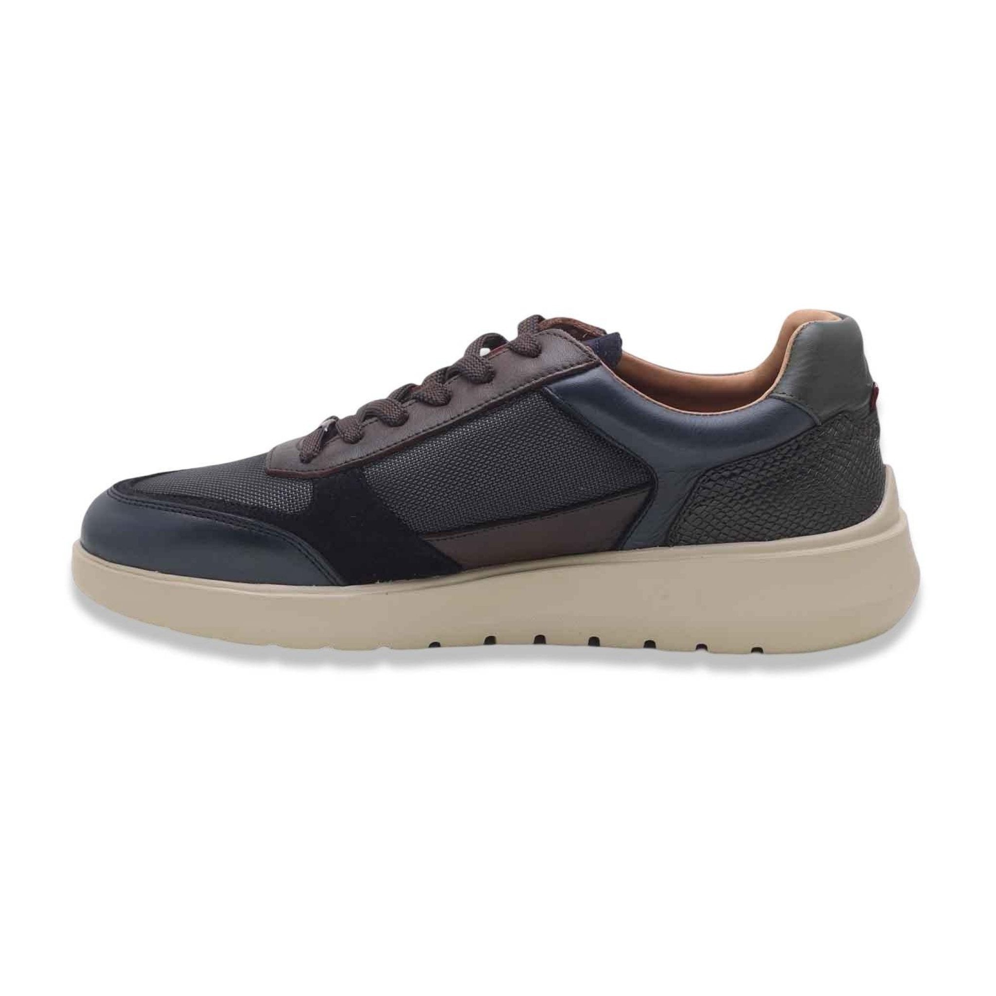 Ambitious goldfish navy brown